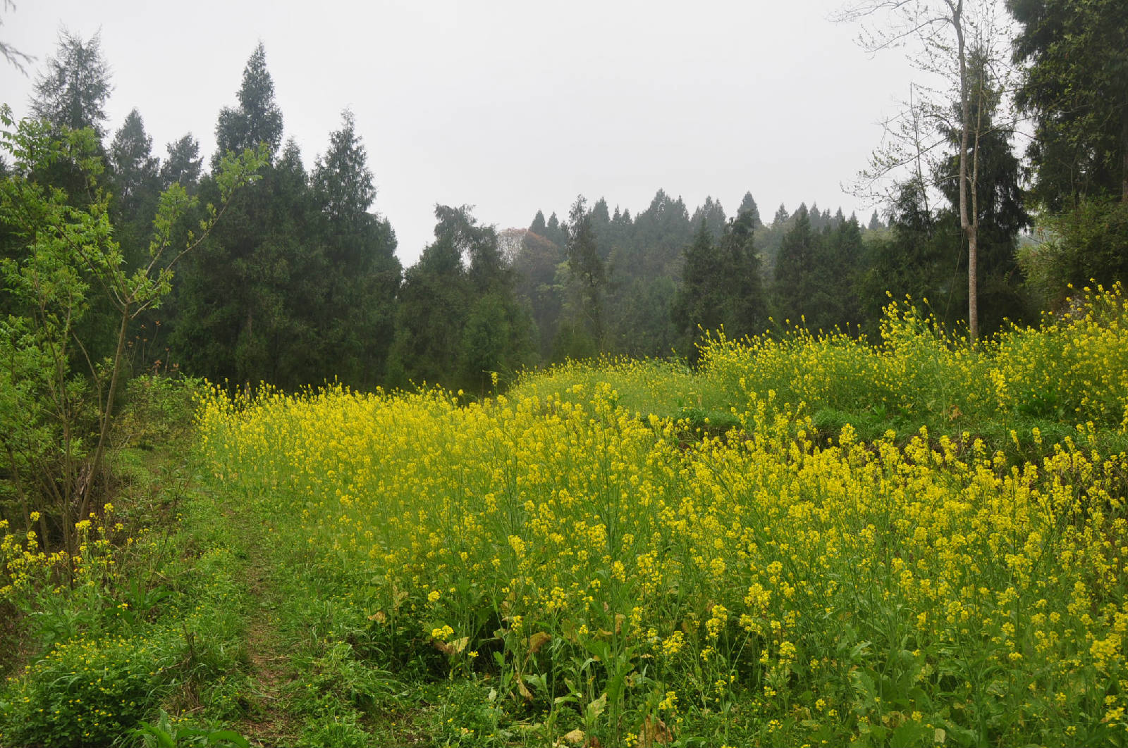 DSC_0672.JPG