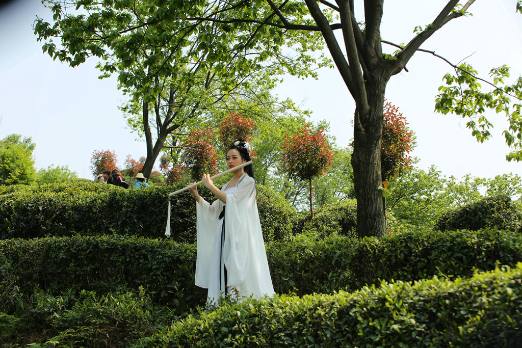 0Y1A0149_鍓湰_鍓湰.jpg