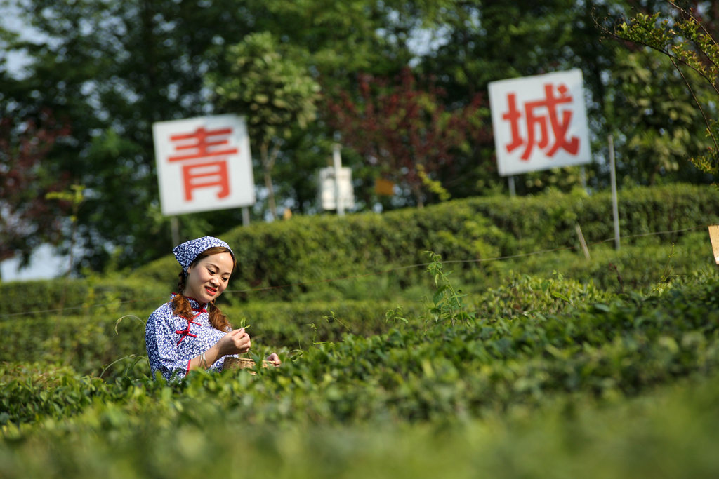 0Y1A9603_鍓湰_鍓湰.jpg