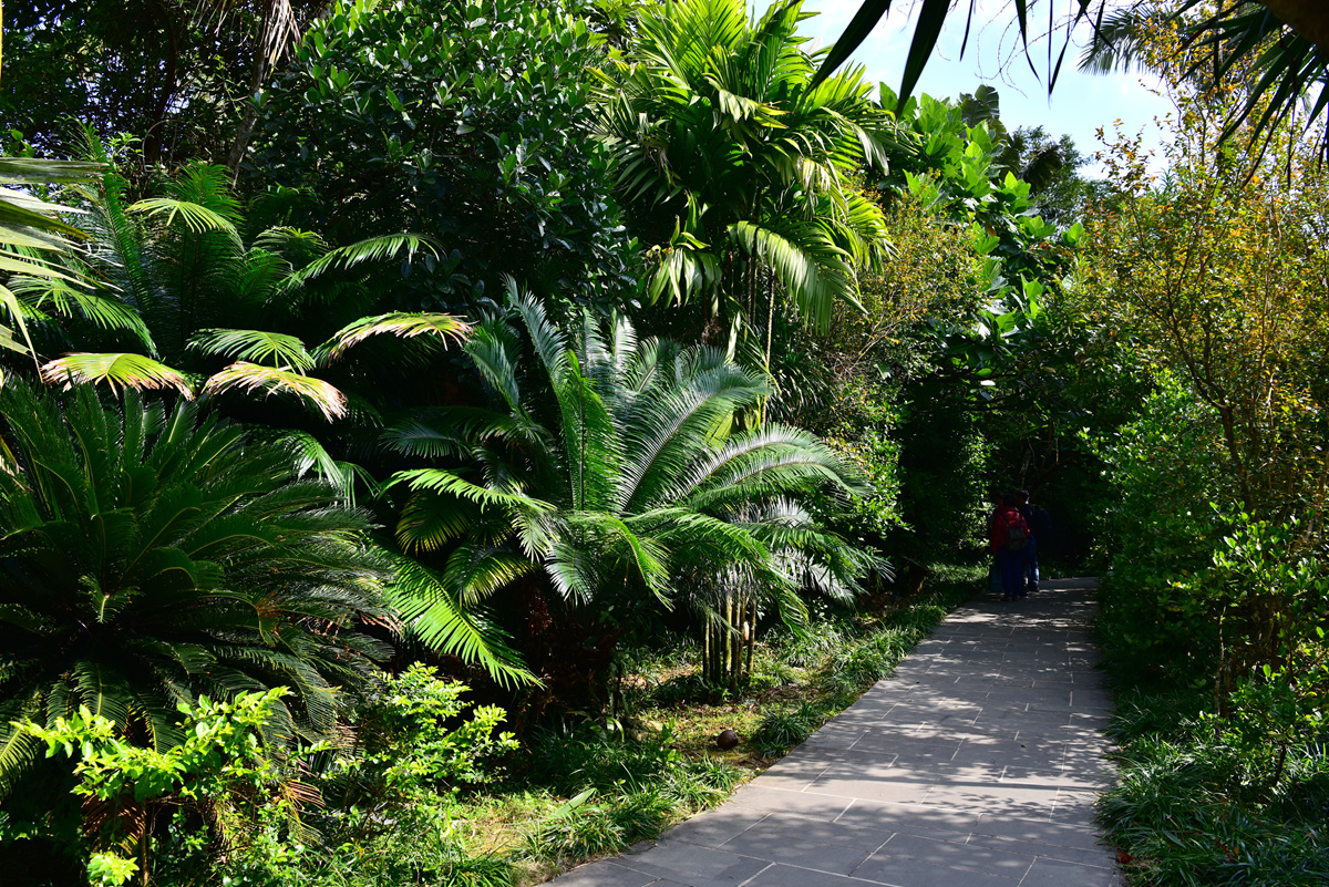海南万宁市兴隆热带植物园