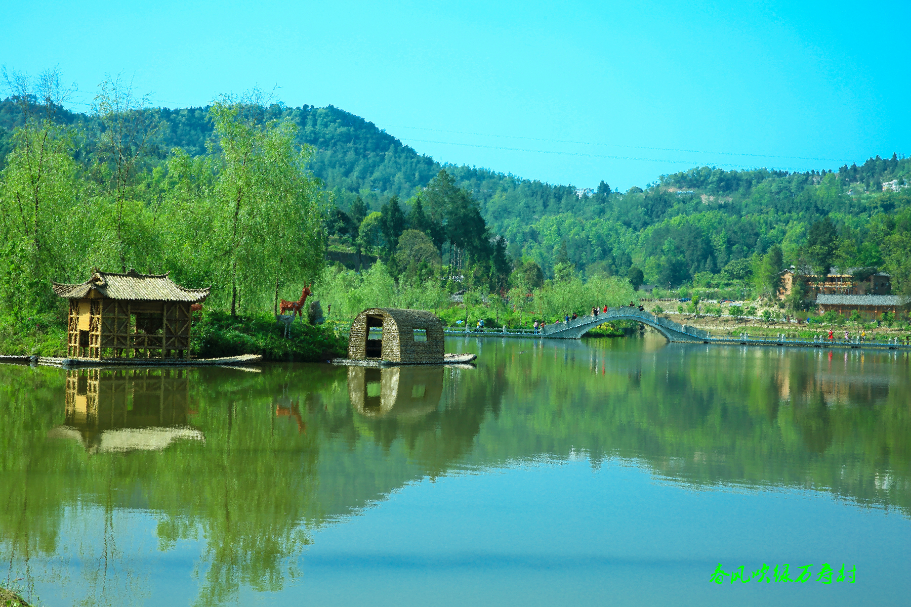 恩阳万寿村图片