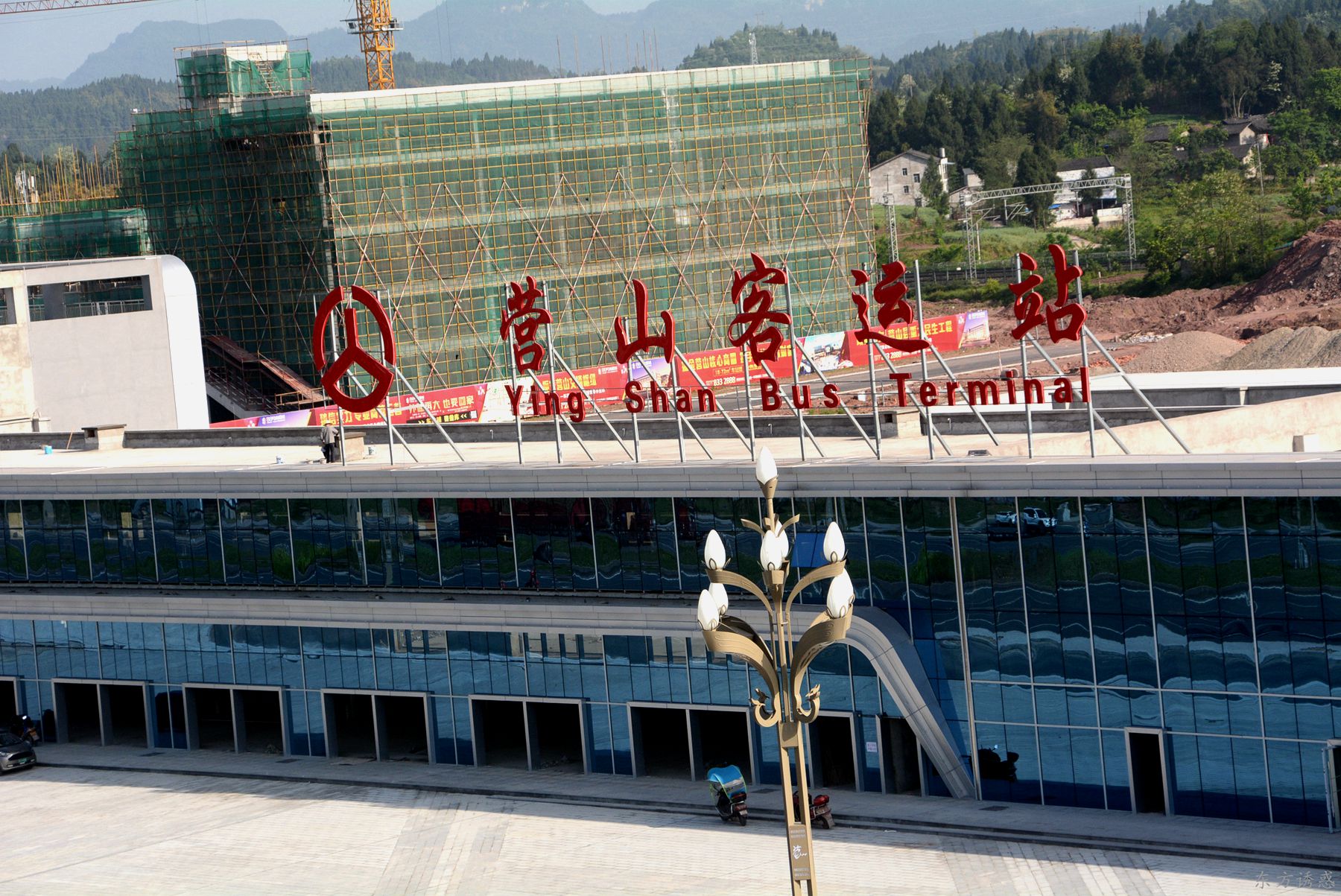 yings0011.jpg