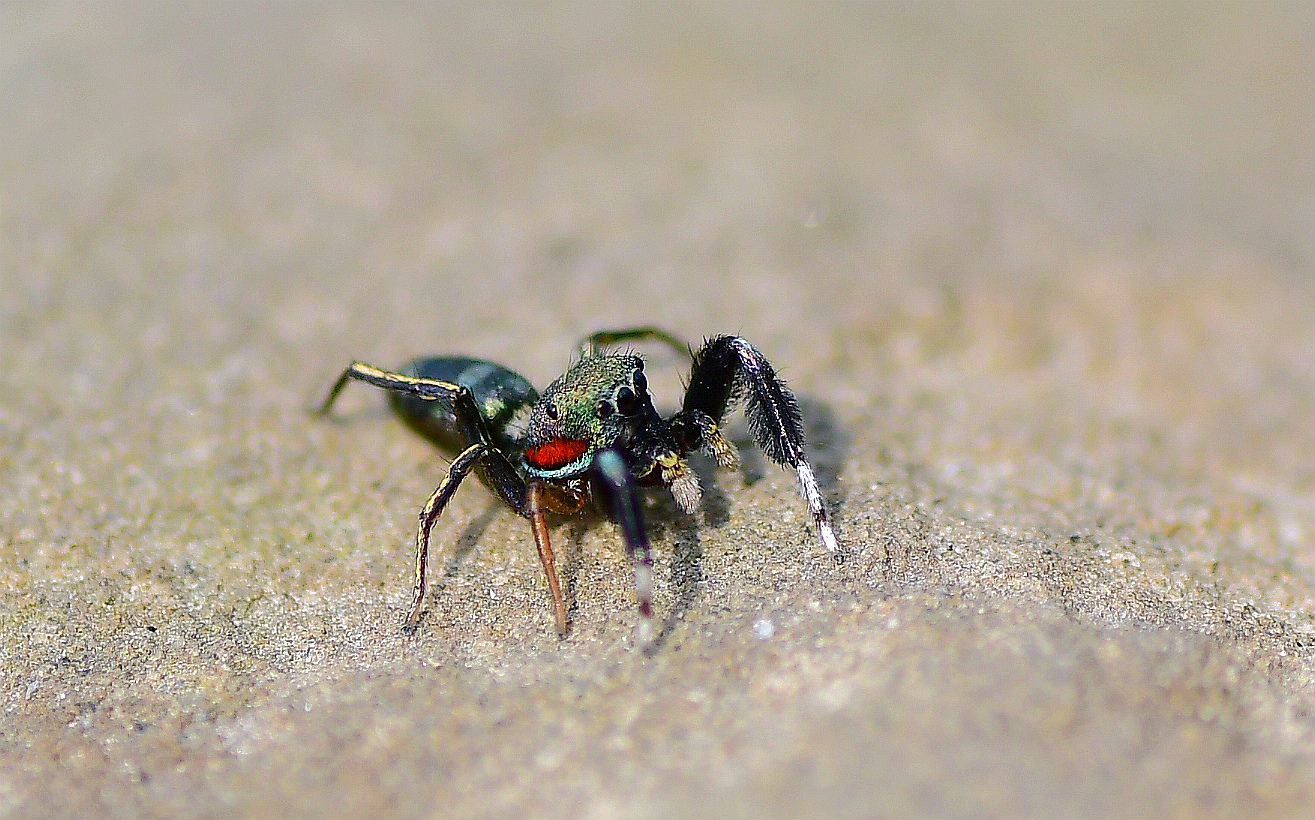 DSC_0044.JPG