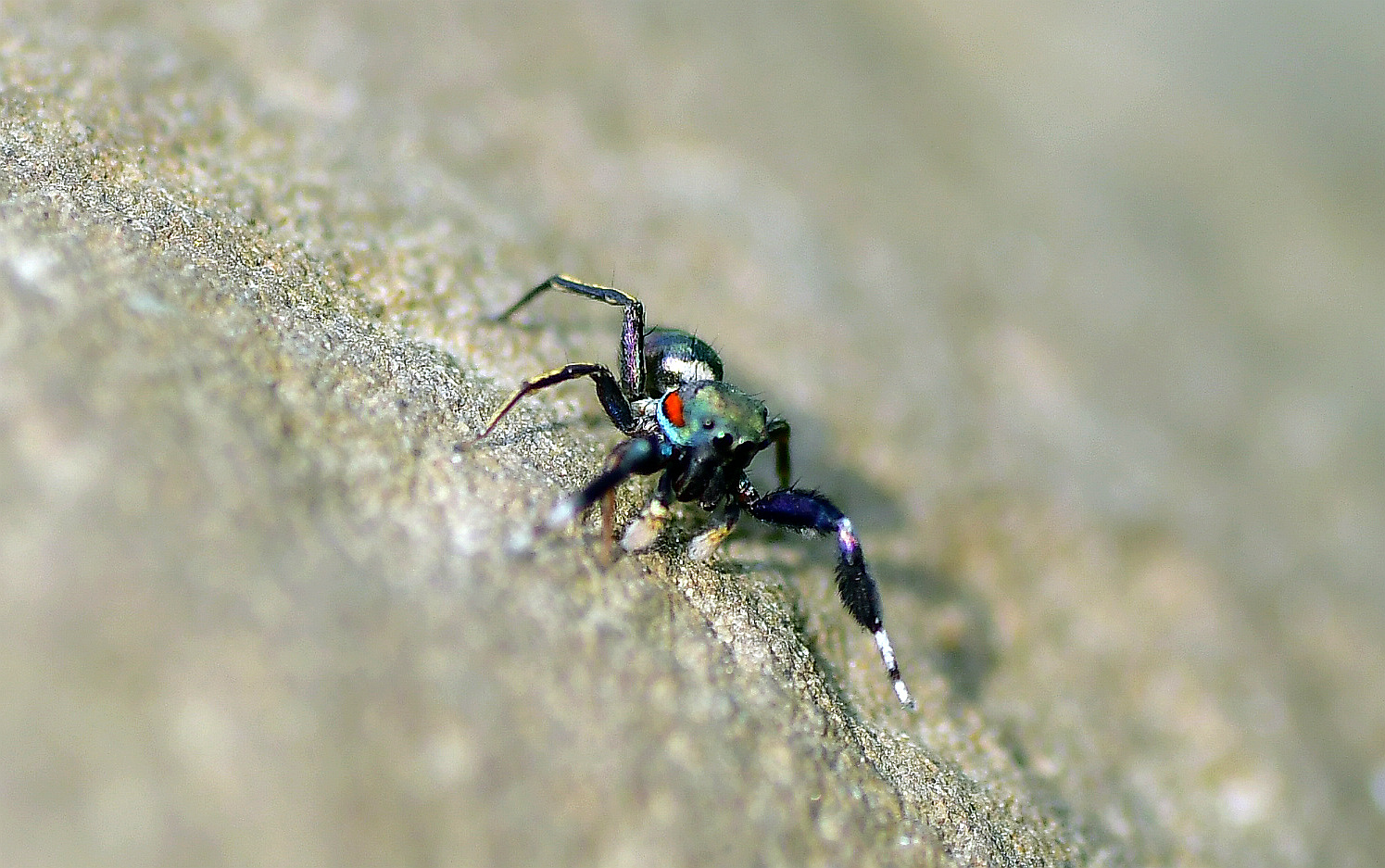 DSC_0046.JPG