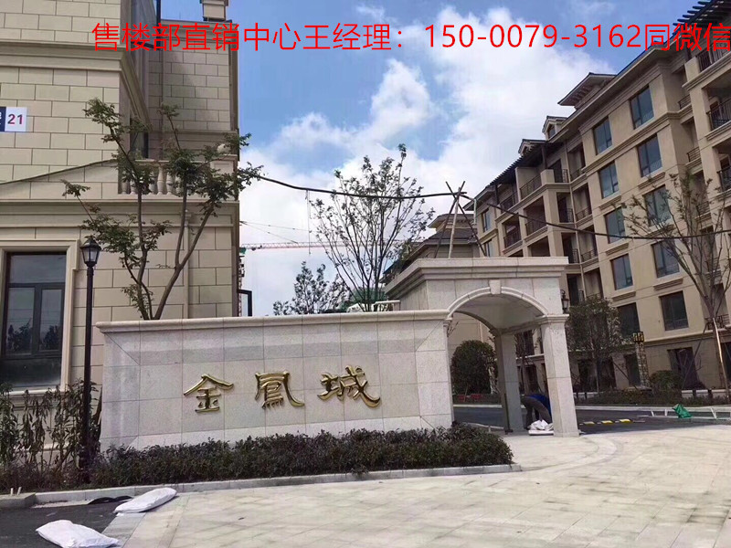 649707970045380940_副本.jpg
