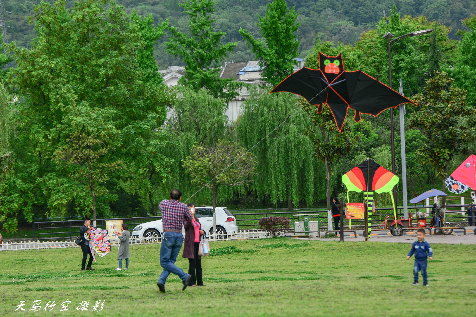 DSC_6317.jpg