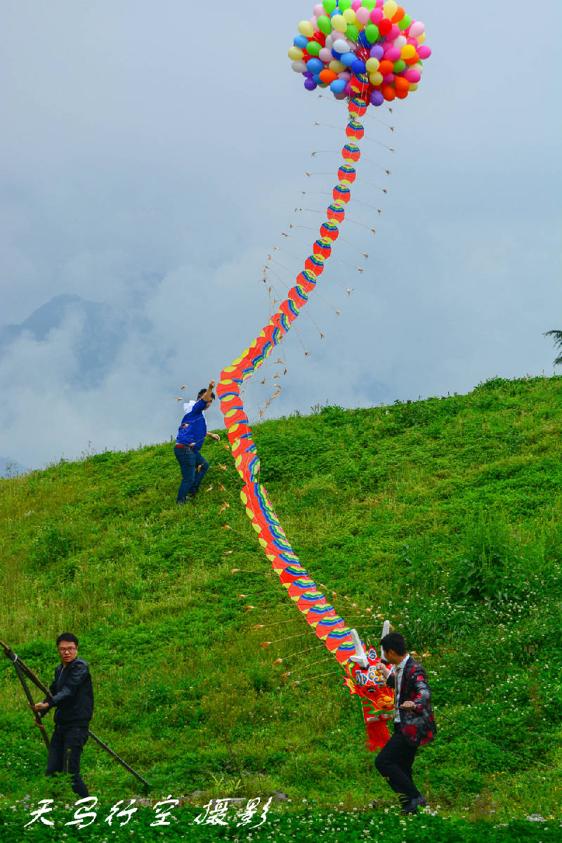 DSC_6323.jpg