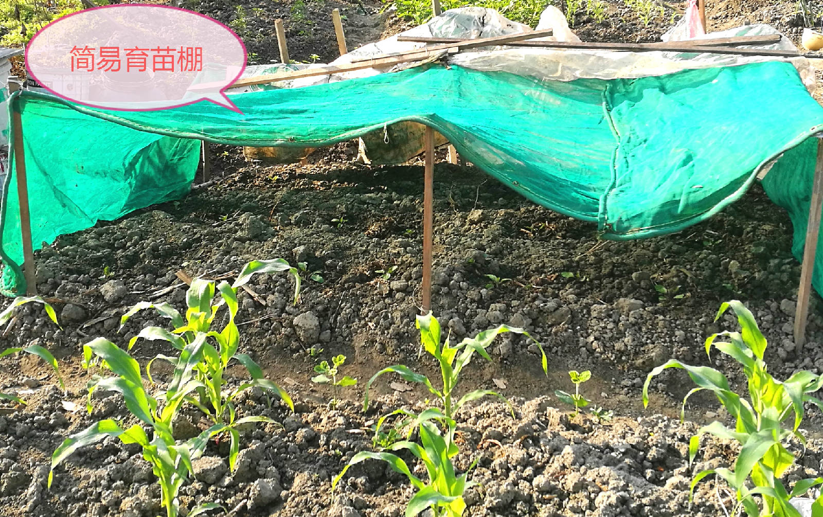 IMG_20180416_090458_看图