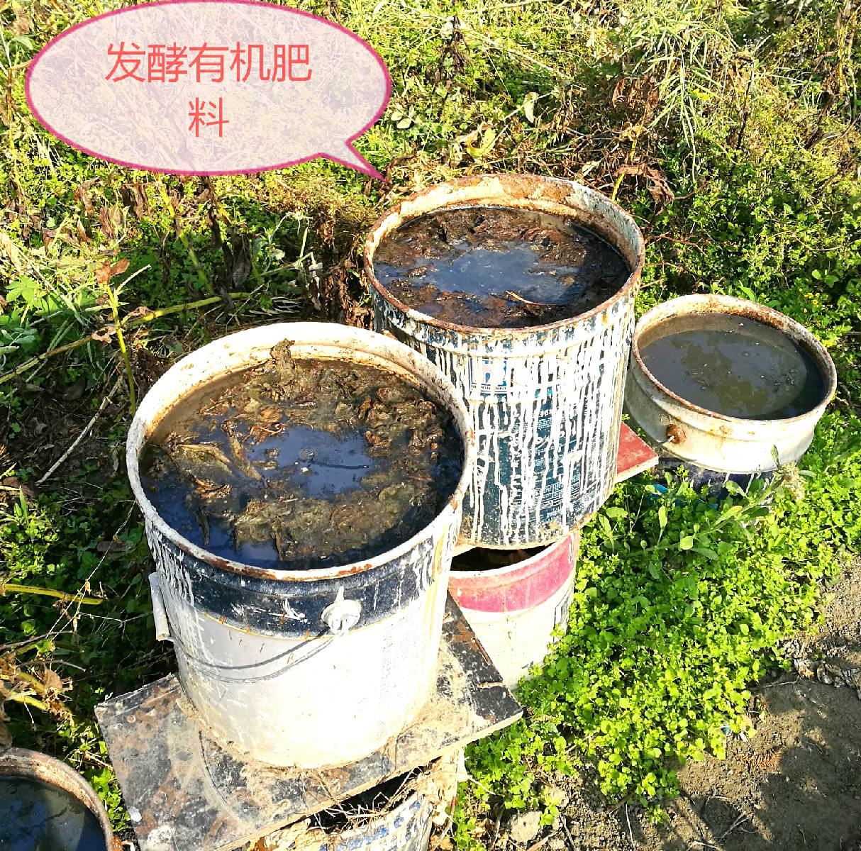 IMG_20180416_090433_看图�