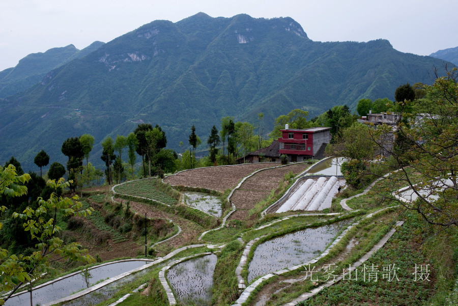 二进春光明媚的西清三河村 光雾山情歌摄_01.jpg