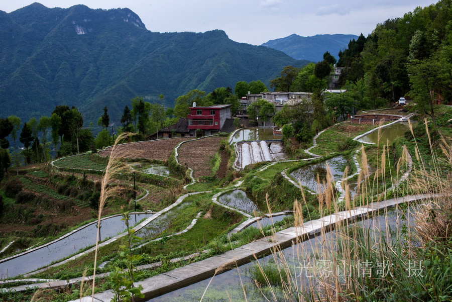 二进春光明媚的西清三河村 光雾山情歌摄_03.jpg