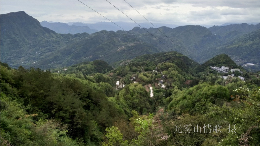 二进春光明媚的西清三河村 光雾山情歌摄_29.jpg