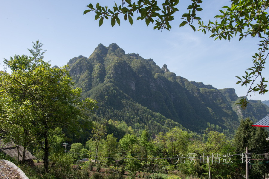 二进春光明媚的西清三河村 光雾山情歌摄_18.jpg