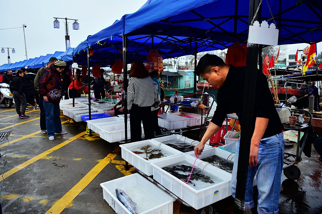 潭门镇海鲜市场图片