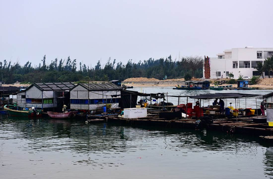 DSC_2550_.jpg