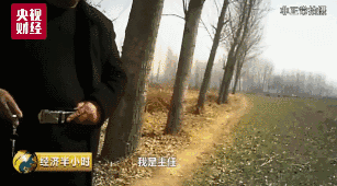 t0198a8c3f259d108ec.gif