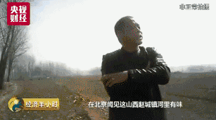 t01a9f3361d995638bb.gif