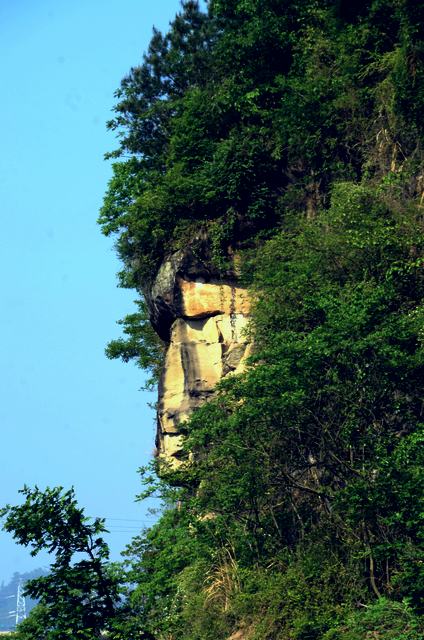 DSC_4649.JPG