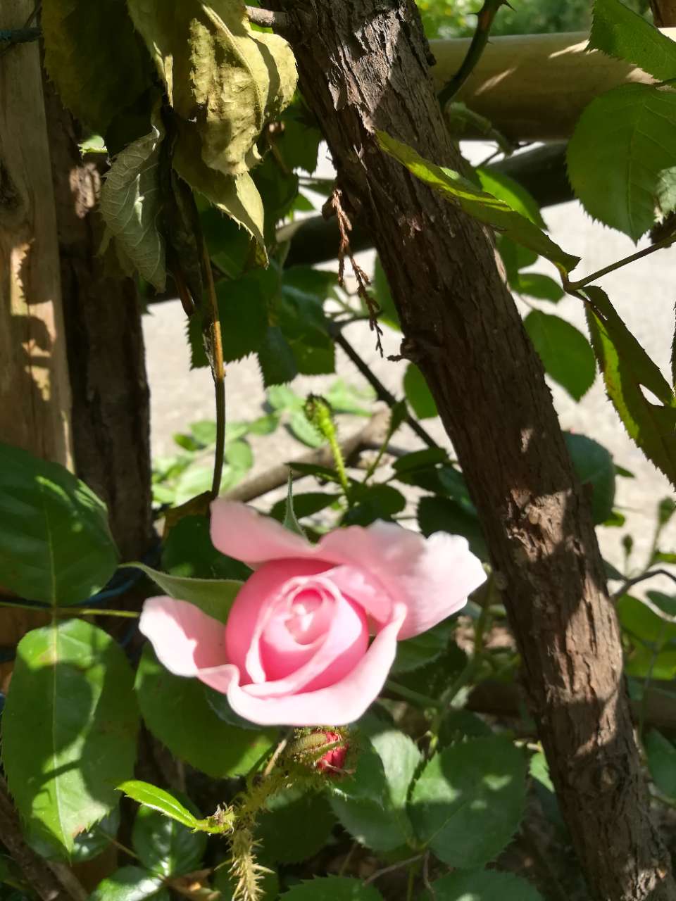 20180419_626741_1524125142181.jpg