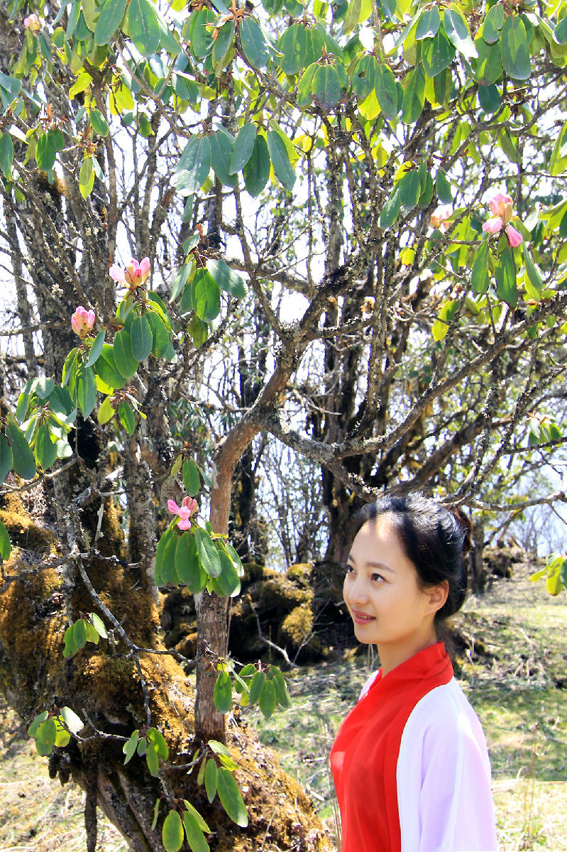 5L4A5382副本.jpg