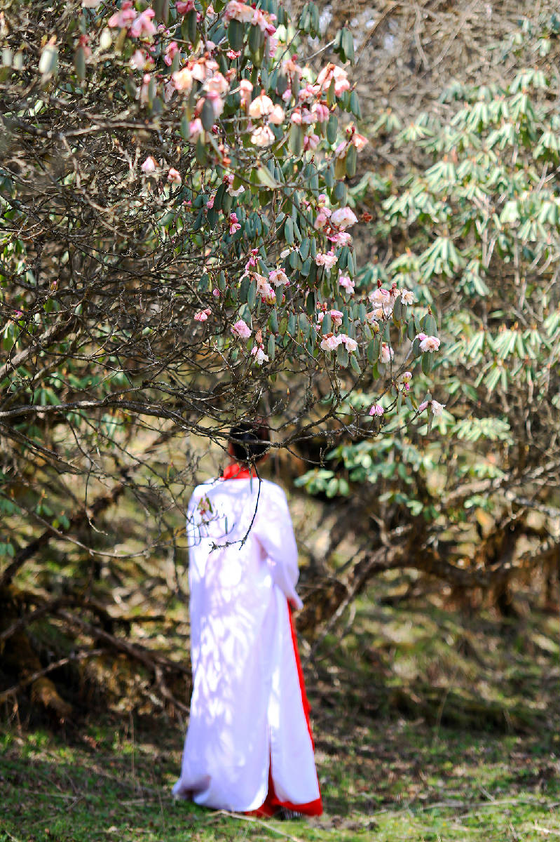 IMG_0965副本.jpg