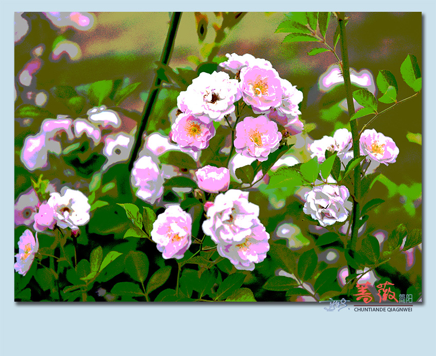 Ǿޱ14.jpg