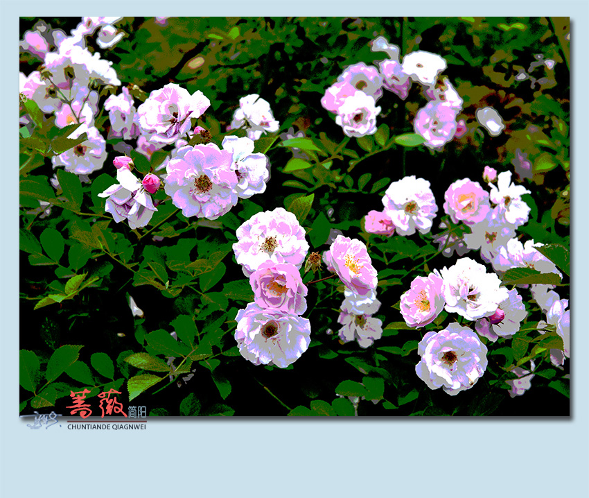 Ǿޱ19.jpg