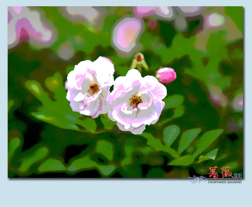 Ǿޱ25.jpg