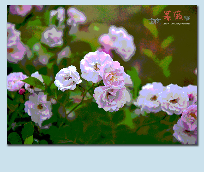 Ǿޱ27.jpg