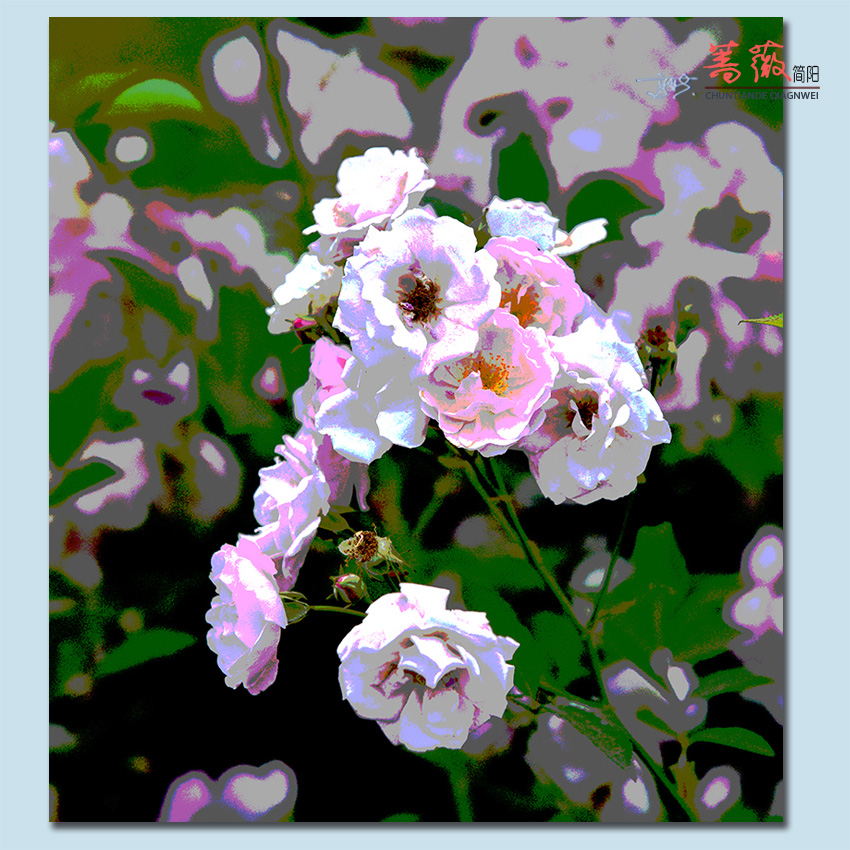Ǿޱ28.jpg