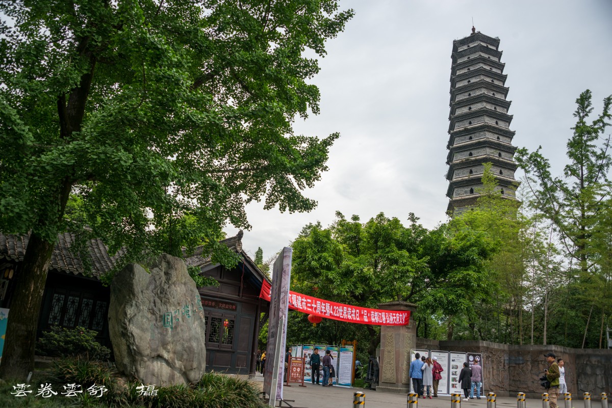 conew__dsc7555.jpg