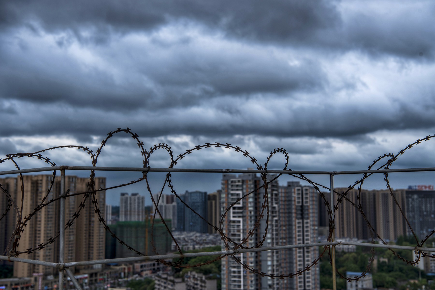 DSC_2781-01.jpeg