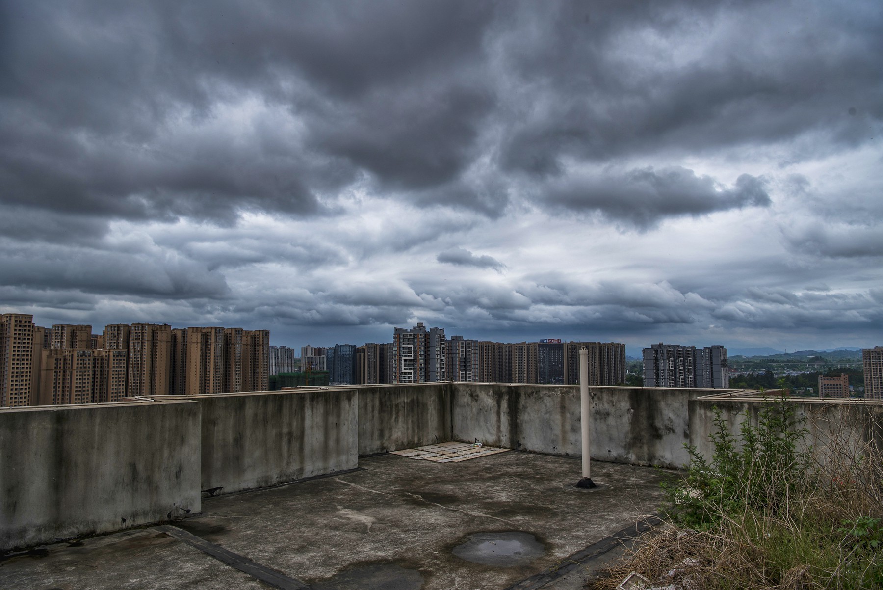 DSC_2819-01.jpeg