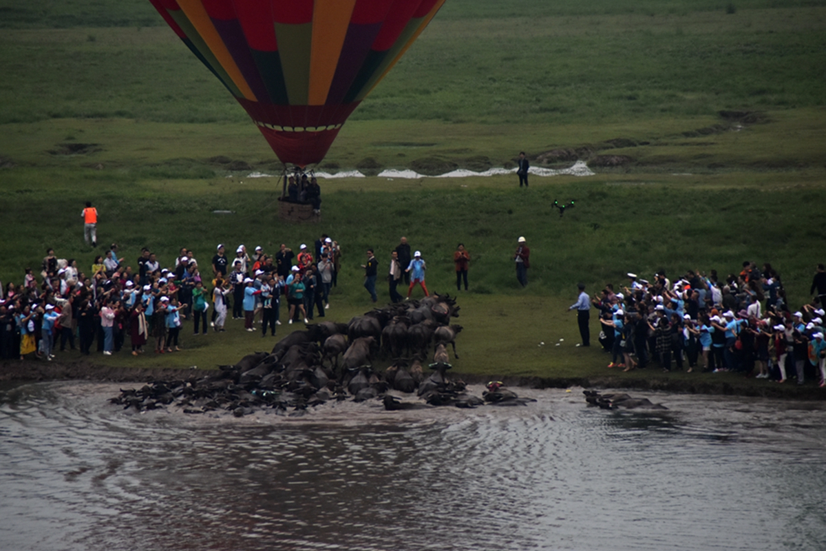 DSC_5762.jpg