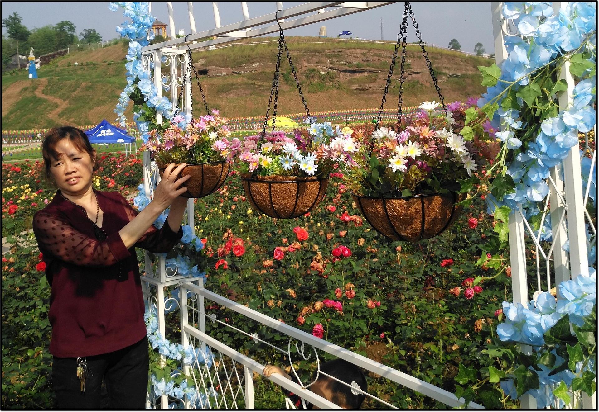 禄市花海 (22).jpg