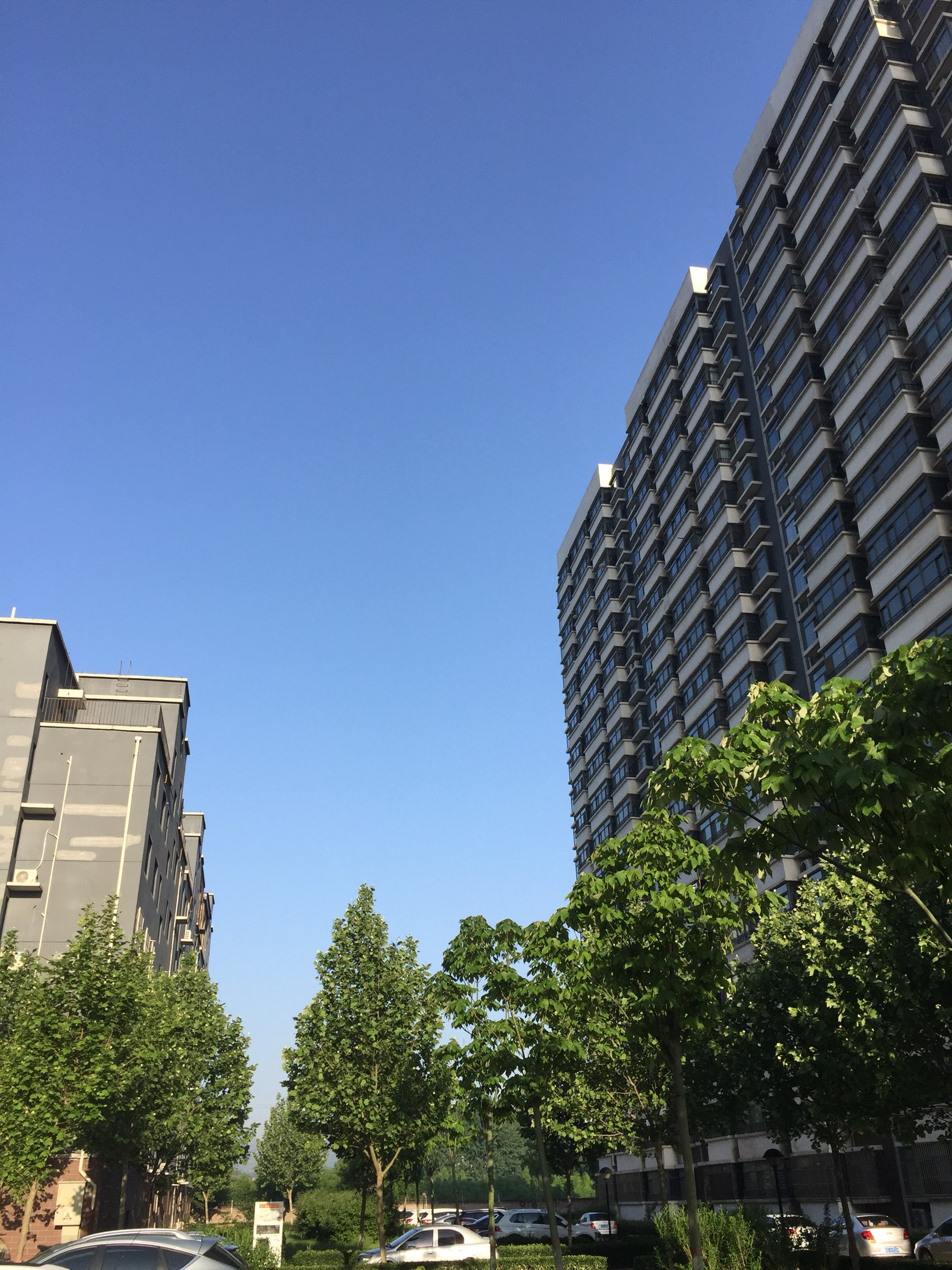 20180502141009.jpeg