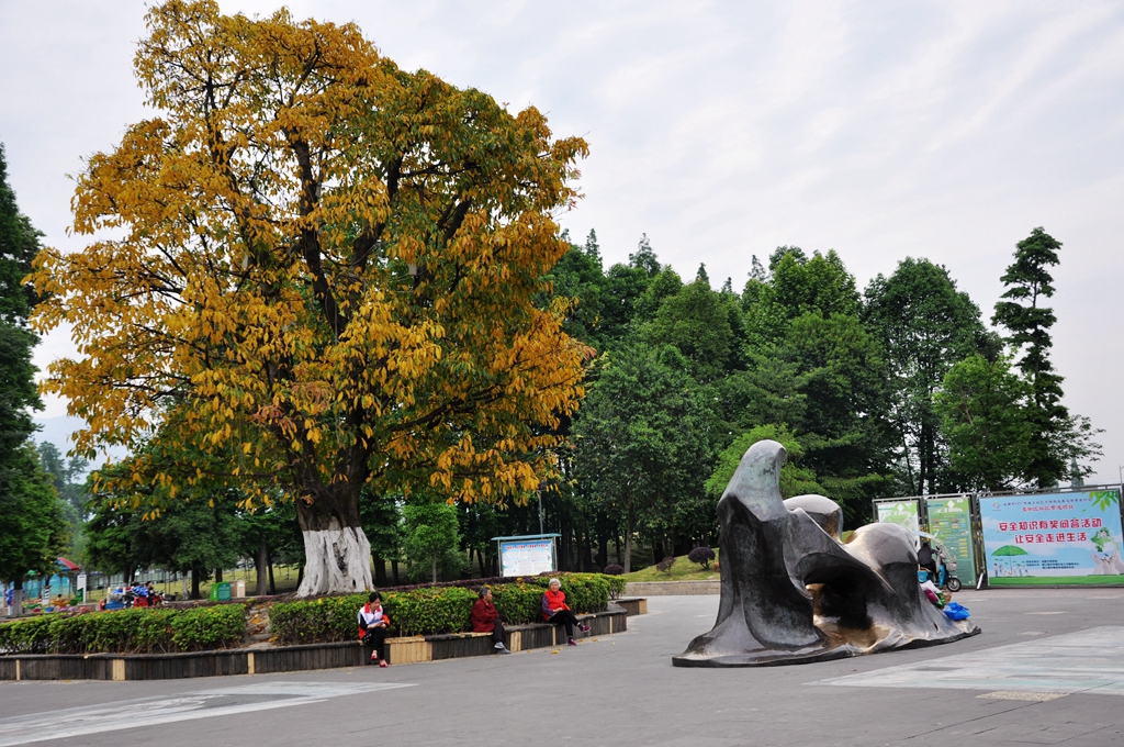 DSC_0123_副本_副本.jpg
