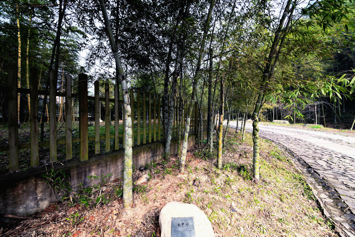 GLN_4043.JPG