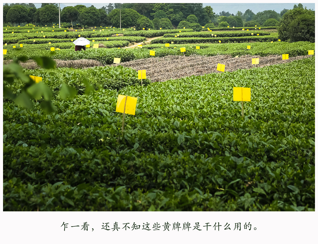 181A2652.jpg