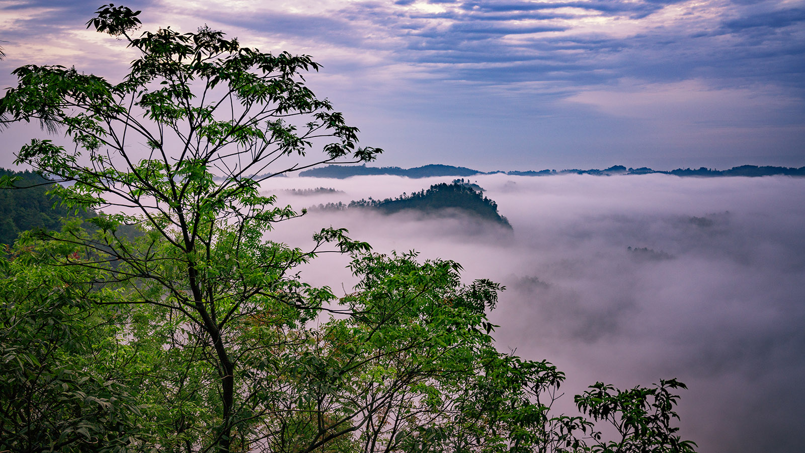 骑龙坳景区图片