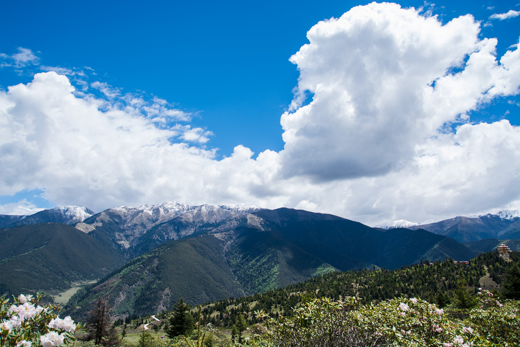 DSC_1359.jpg