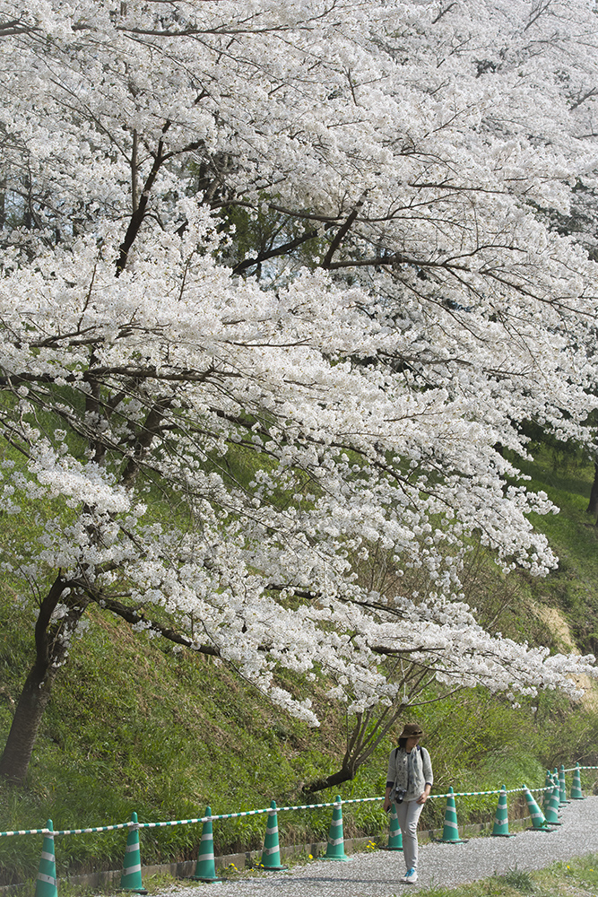 DSC_8364-2.jpg