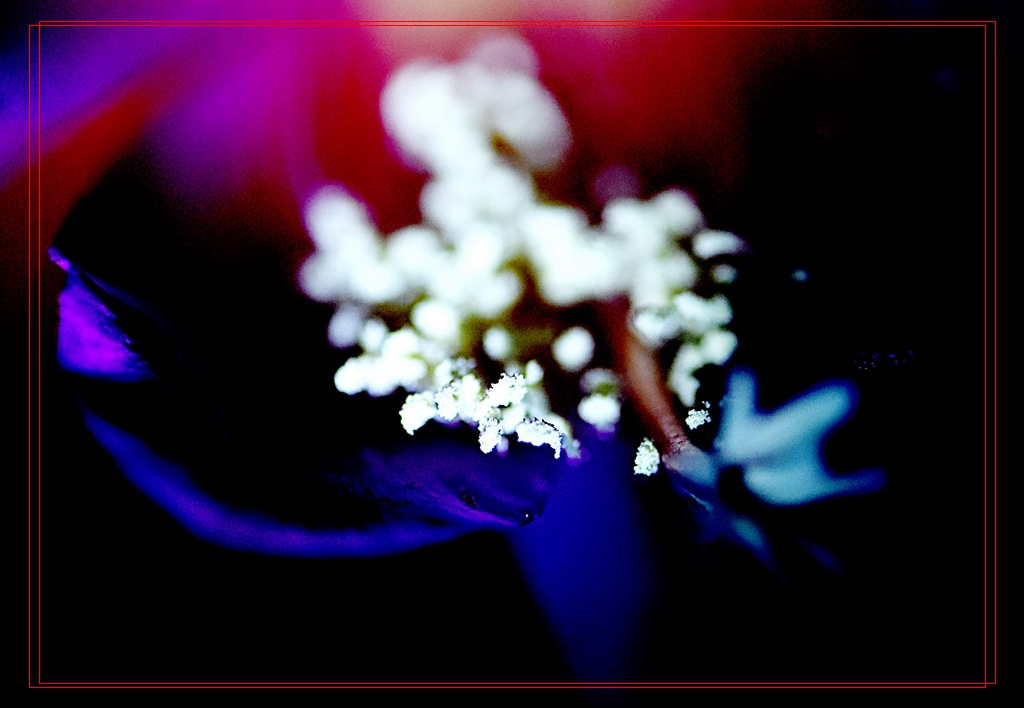 DSC_8442.jpg