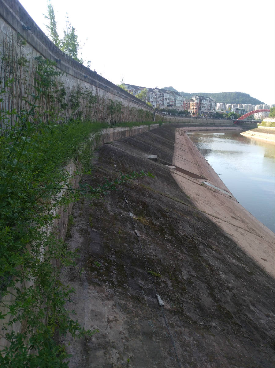 IMG_20180506_171423.jpg