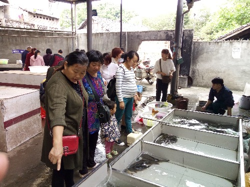 IMG20180508084650.jpg