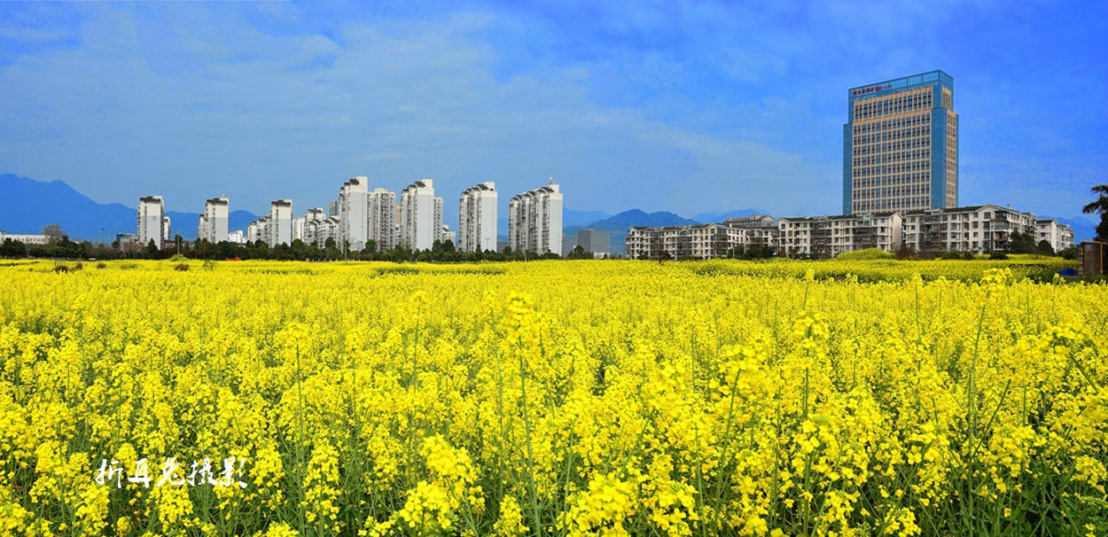 未标题_全景