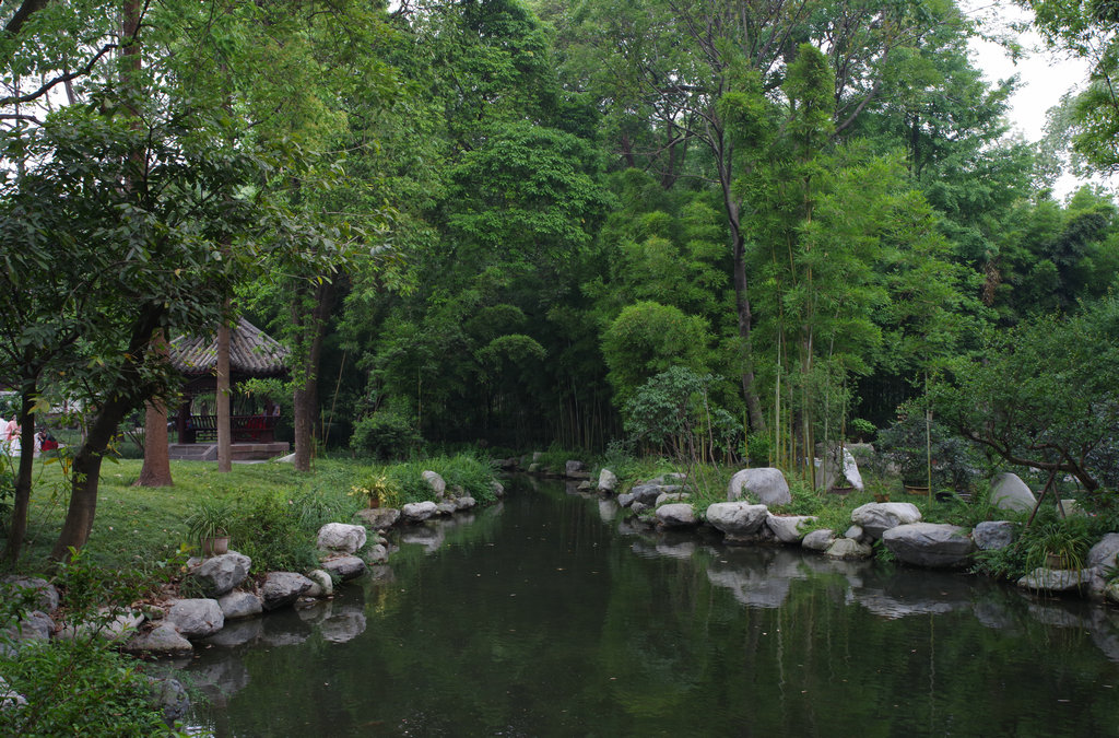 IMGP0912.jpg
