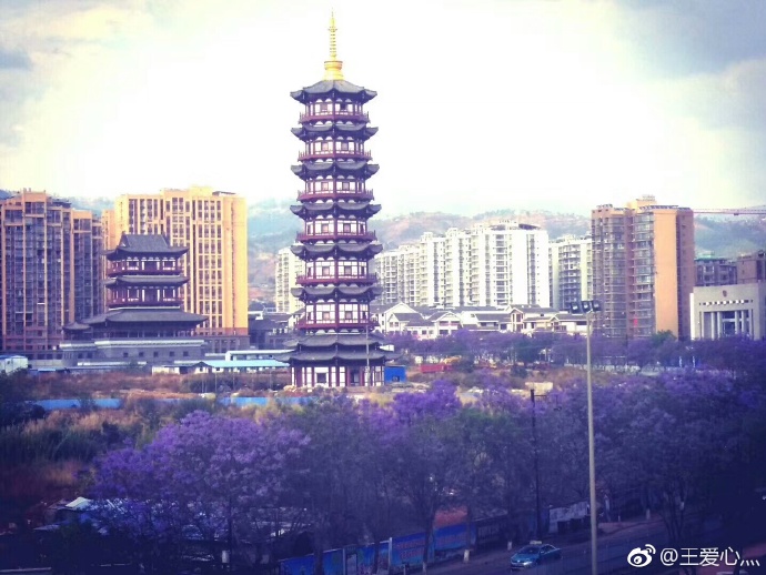 005Rruz9gy1fqzxroun53j31400u0njm.jpg