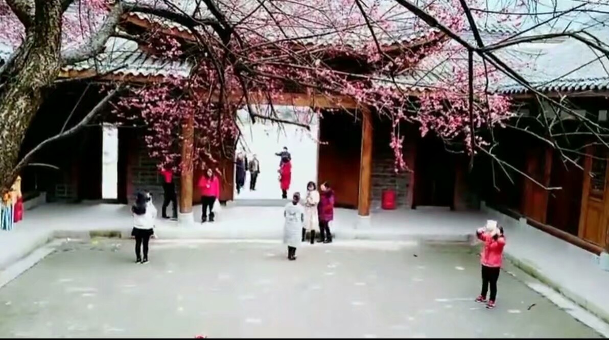 微信图片_20180510090456.jpg