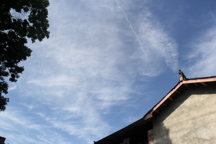 IMG_9761.jpg